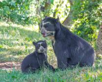 Auki mit Mama Rica-J26.7-ZZ-6276
