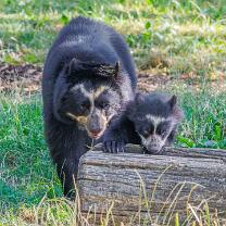 Auki mit Mama Rica-J26.7-ZZ-6307