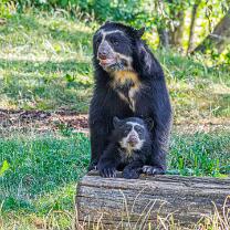 Auki mit Mama Rica-J26.7-ZZ-6313