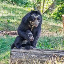 Auki mit Mama Rica-J26.7-ZZ-6318