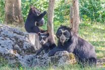 Mama Rica mit Auki und Amaru-J26.7-ZZ-6237