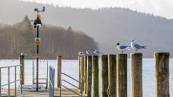 Windermere - Lake District-J13-2286