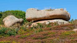 Ploumanac'h-J14-6666