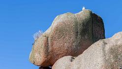 Ploumanac'h-J14-6672