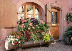 Ribeauvillé-J07-5897