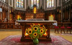 Ribeauvillé-J07-5920