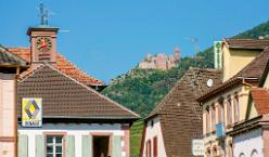 Ribeauvillé-J07-5973