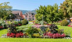 Ribeauvillé-J07-6000