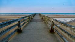 Omaha-Beach-J04-149