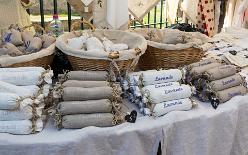 SAINT-RÉMY-DE-PROVENCE-J17-1554