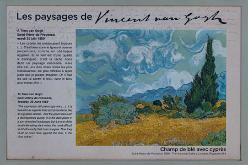 VAN GOGH IN SAINT-RÉMY-J17-1767