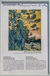 VAN GOGH IN SAINT-RÉMY-J17-1773
