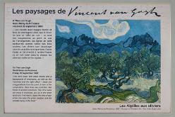 VAN GOGH IN SAINT-RÉMY-J17-1774