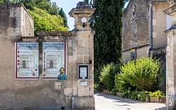 VAN GOGH IN SAINT-RÉMY-J17-1781