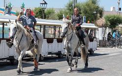 SAINTES-MARIES-DE-LA-MER-J17-1985