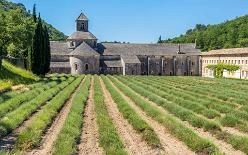 ABBAYE SENANQUE-J17-J17-1395