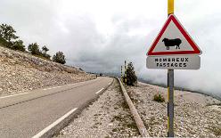 MONT VENTOUX-J18-2770