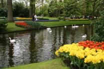 Keukenhof-J05-076