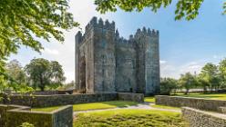 Bunratty - Castle IRL-J16-2044