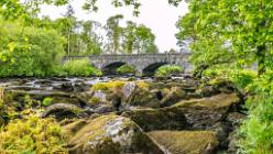 Lake Caragh IRL-J16-2285