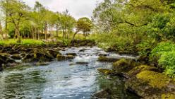 Lake Caragh IRL-J16-2301