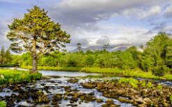 Lake Caragh IRL-J16-2527