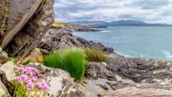 Ring of Kerry IRL-J16-2404