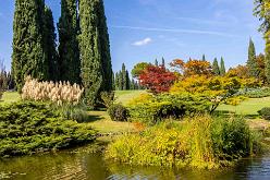 Parco Giardino Sigurtà-J22-8374