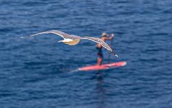 Westkueste-Elba-J15-1085