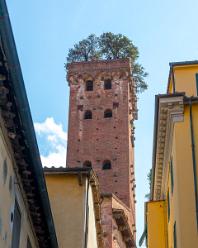 Lucca - Toscana-J17-3518