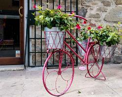 CASTIGLIONE D'PESCAIA-J16-3654