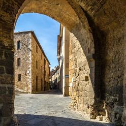 QUIRICO-D'ORCIA-J16-4379