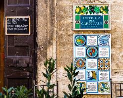 QUIRICO-D'ORCIA-J16-4407