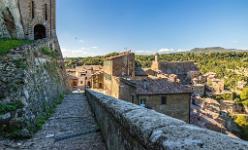 SORANO-J16-3924