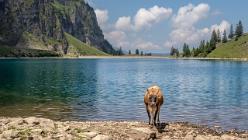 Bannalpsee - NW-J18-4061