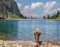 Bannalpsee-NW-4061