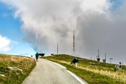 Chasseral-J08-623