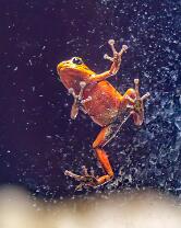 Vicente-Baumsteiger-7181